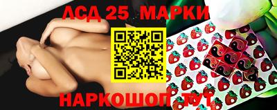 крисы Можга