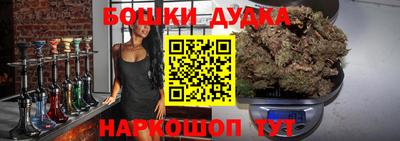 крисы Можга