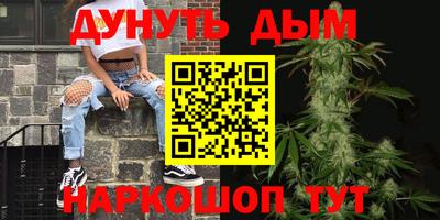 крисы Можга