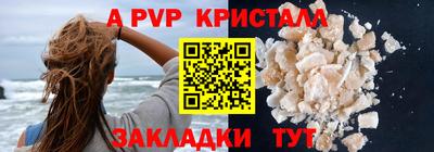 крисы Можга