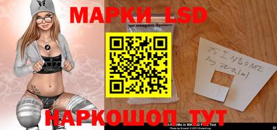 крисы Можга