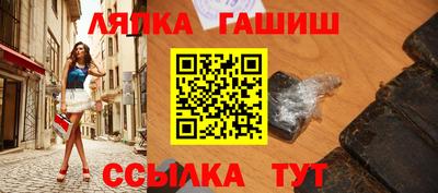 крисы Можга