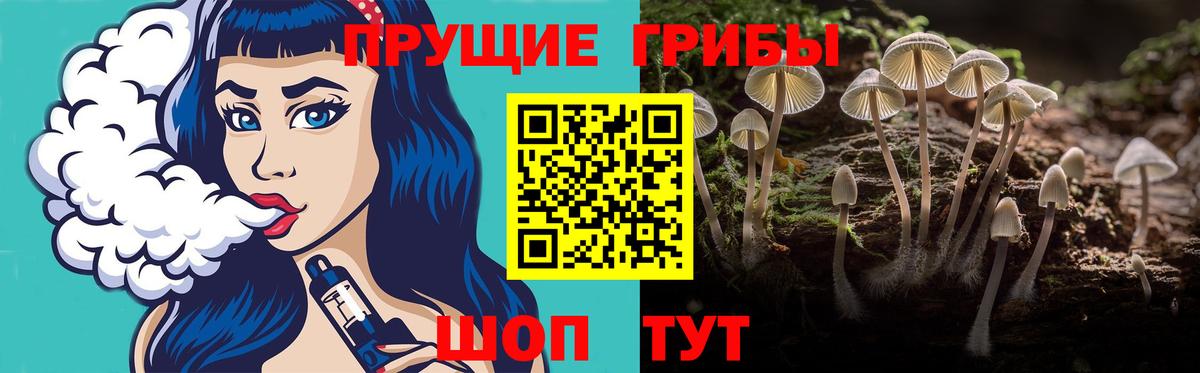 Псилоцибиновые грибы прущие грибы  Вход с VPN  Будённовск  Галлюциногенные грибы мицелий 